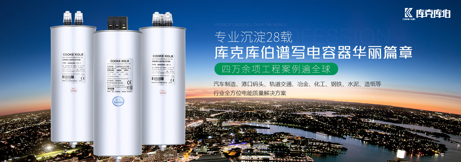 低壓電力電容器-庫克庫伯