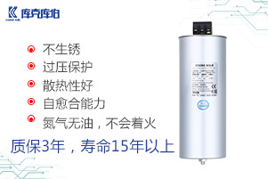 自愈式電力電容器