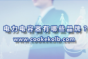 電力電容器有哪些品牌？