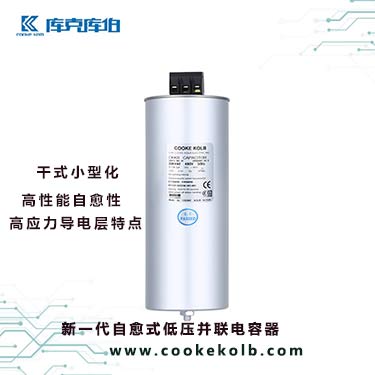 新一代自愈式低壓并聯電容器的產品技術特點是什么？