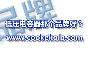 低壓電容器哪個品牌好？
