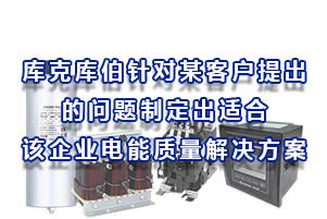 庫克庫伯根據某客戶開關室提出的問題制定出適合該企業電能質量解決方案