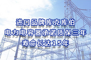 進口品牌庫克庫伯電力電容器承諾質保三年壽命長達15年
