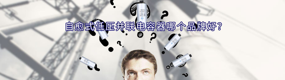 自愈式低壓并聯(lián)電容器品牌哪個(gè)比較好，