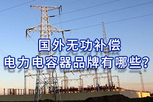 國外無功補償電力電容器品牌有哪些？