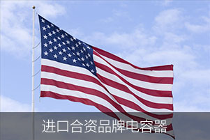 進口電容器之進口合資品牌電容器