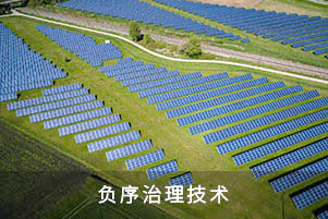 負(fù)序治理技術(shù)