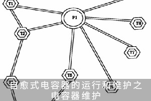 自愈式電容器的運行和維護之電容器維護
