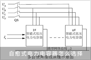 自愈式電力電容器怎么選擇