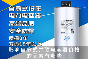 影響自愈式并聯(lián)電容器價格的因素有哪些