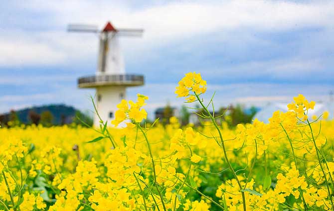 鮮花易老，庫克庫伯建議您和家人一起享受美好時光