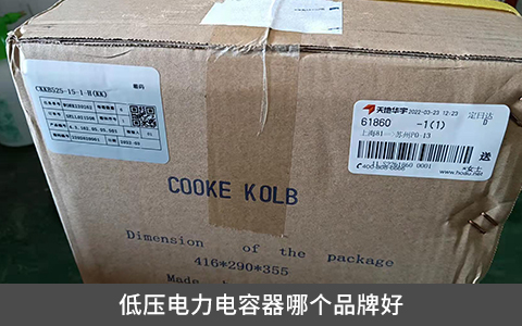 低壓電力電容器哪個品牌好