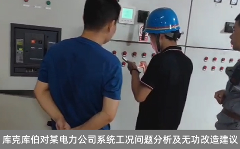 庫(kù)克庫(kù)伯對(duì)某電力公司系統(tǒng)工況問(wèn)題分析及無(wú)功改造建議