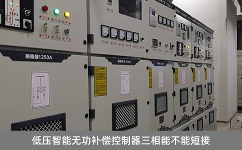 低壓智能無功補償控制器三相能不能短接