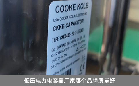 低壓電力電容器廠家哪個品牌質量好