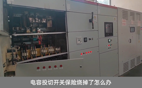 電容投切開關保險燒掉了怎么辦