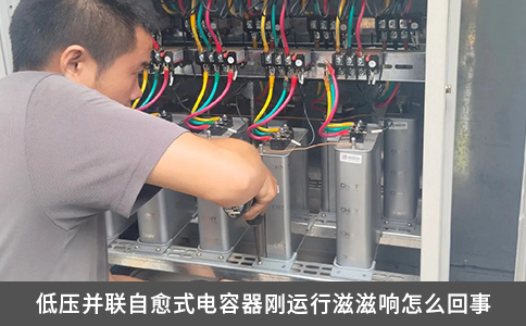 低壓并聯自愈式電容器剛運行滋滋響怎么回事