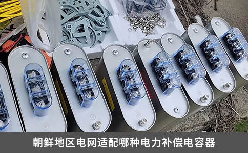 朝鮮地區(qū)電網(wǎng)適配哪種電力補償電容器
